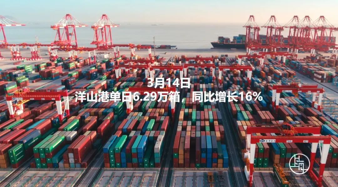 申城最新赌场,申城最新赌场,一个关于犯罪与法律立场的探讨