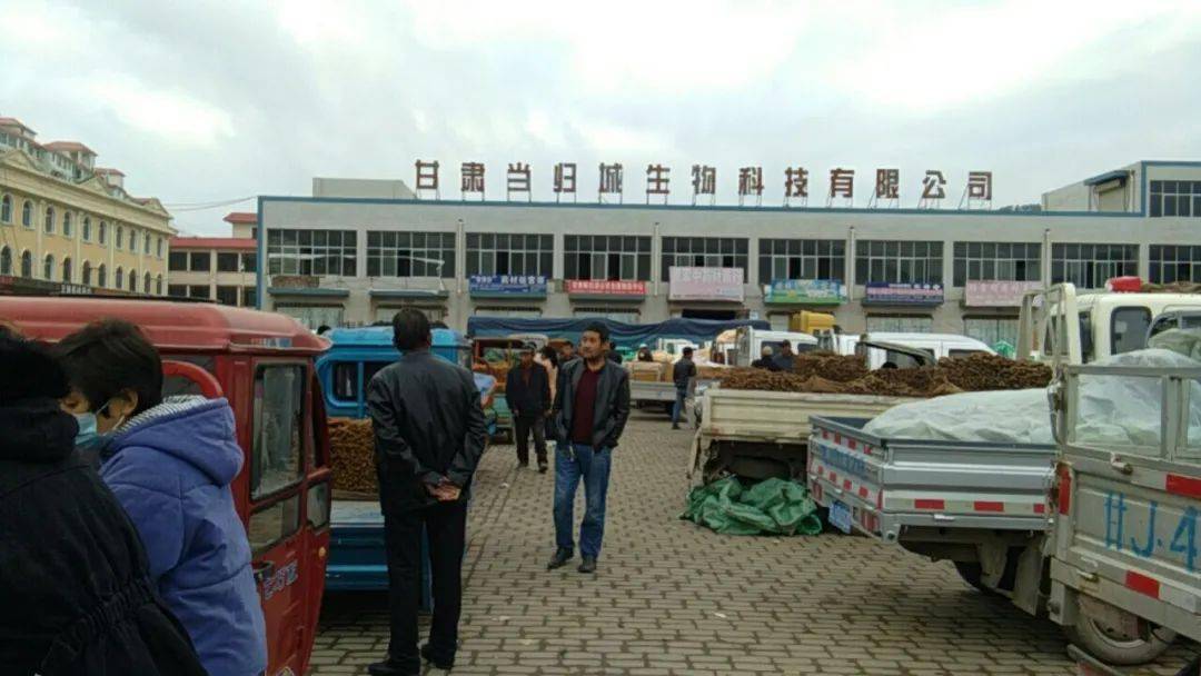 岷县最新信息及观点论述概述