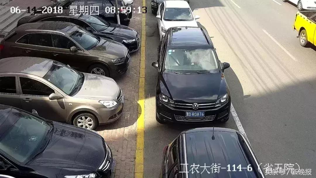 哈市最新禁令背后的宝藏,小巷特色小店探秘