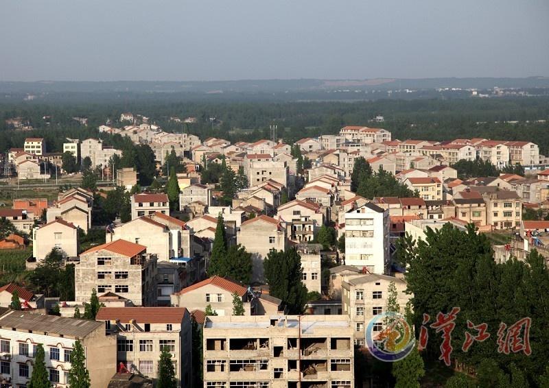 农业行政最新进展,背景、事件与影响综述