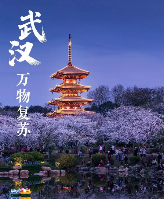 服务案例 第339页