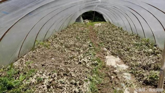 浙江最新洪水灾害情况报道