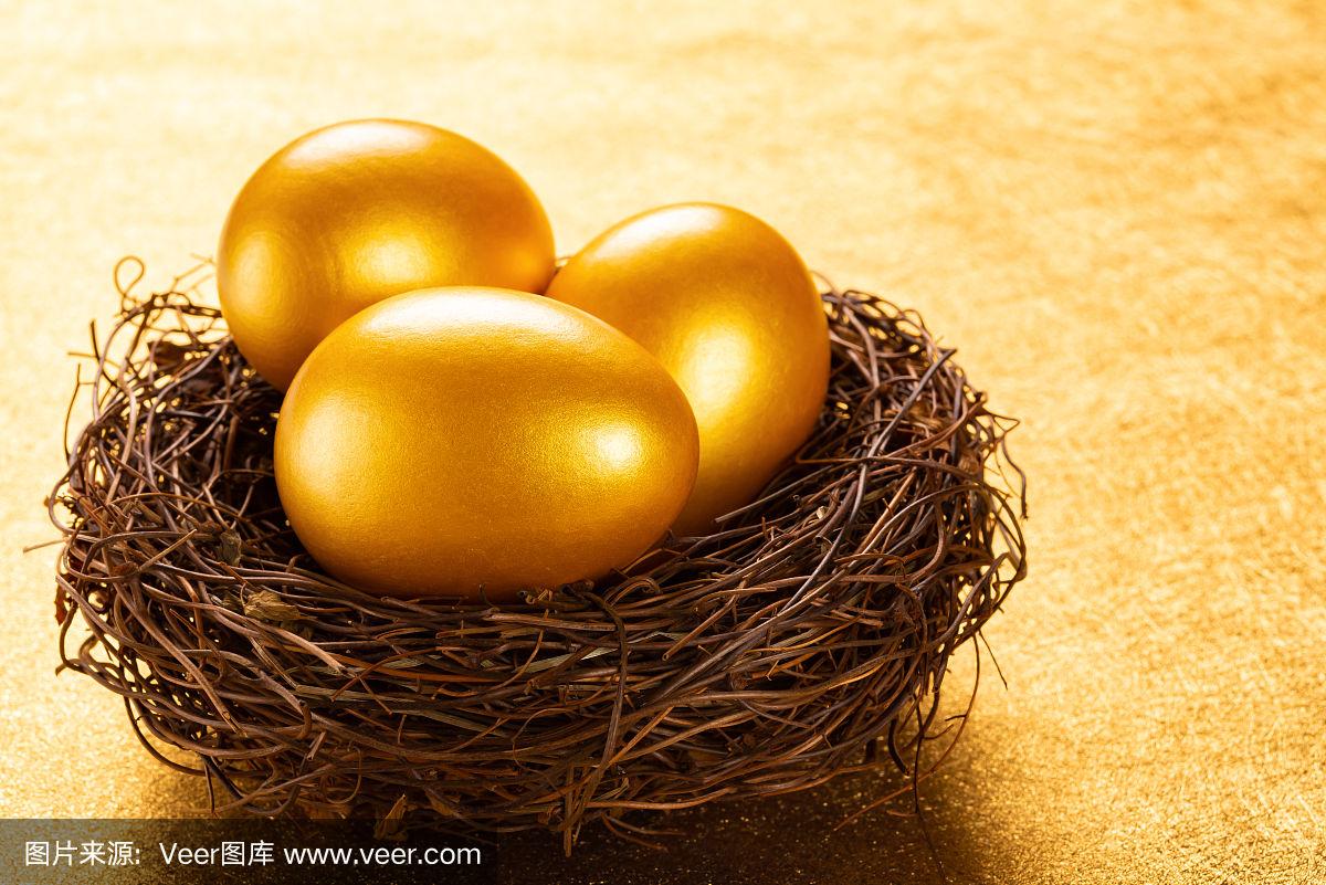 金子窝最新动态,科技重塑生活,领略前沿高科技产品魅力