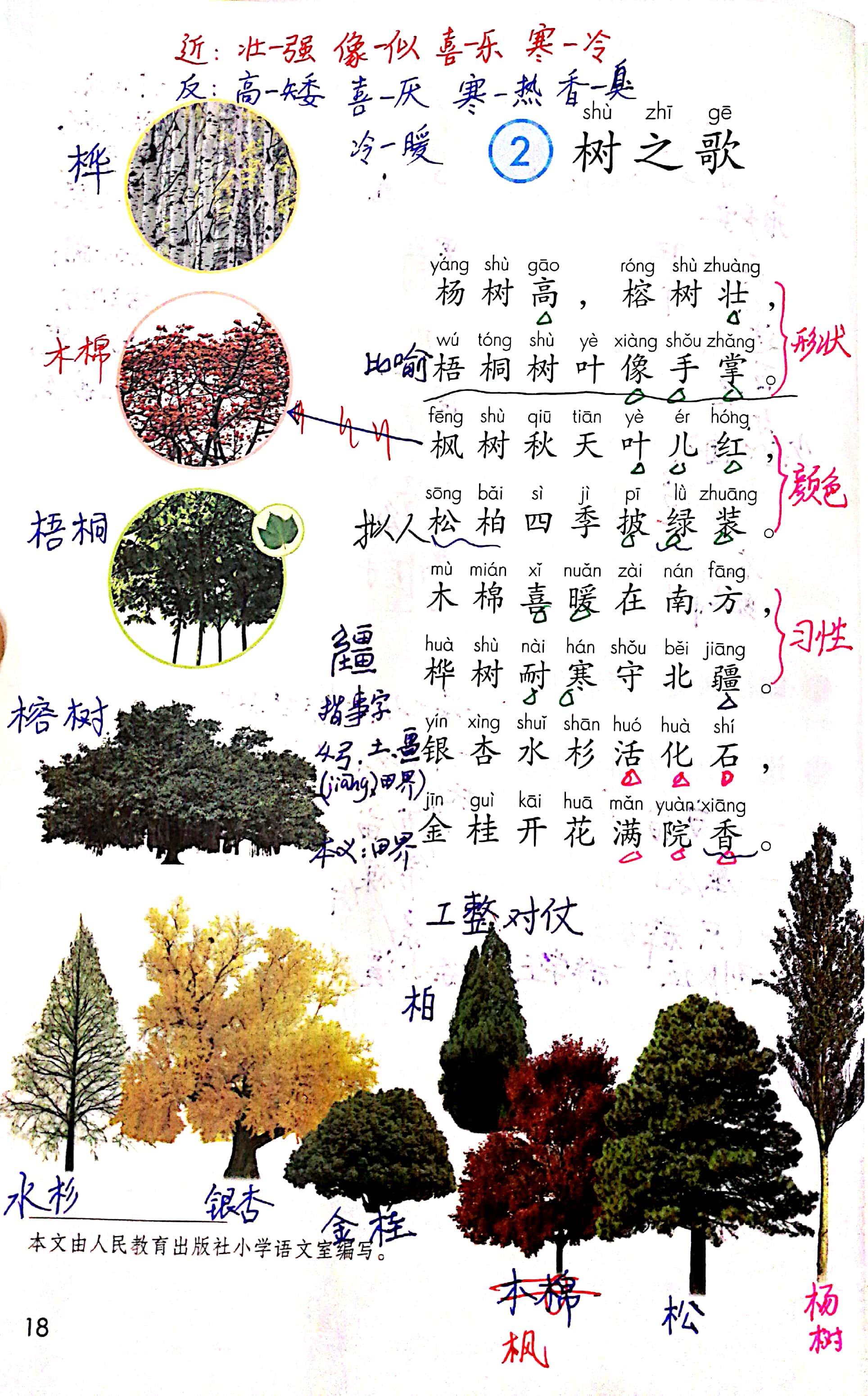 最新树之歌,小巷深处的绿色乐园揭秘