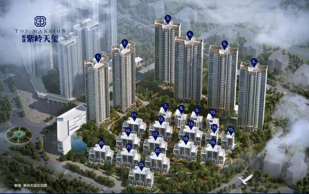 新澳天天开奖资料大全最新54期,详细数据解读_快速版50.195