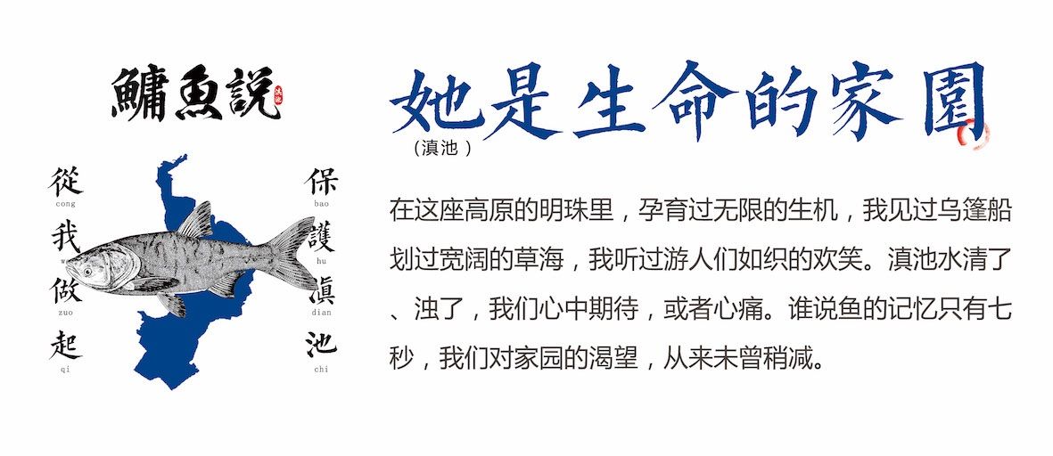 澳门最精准正最精准龙门免费,释意性描述解_供给版70.584