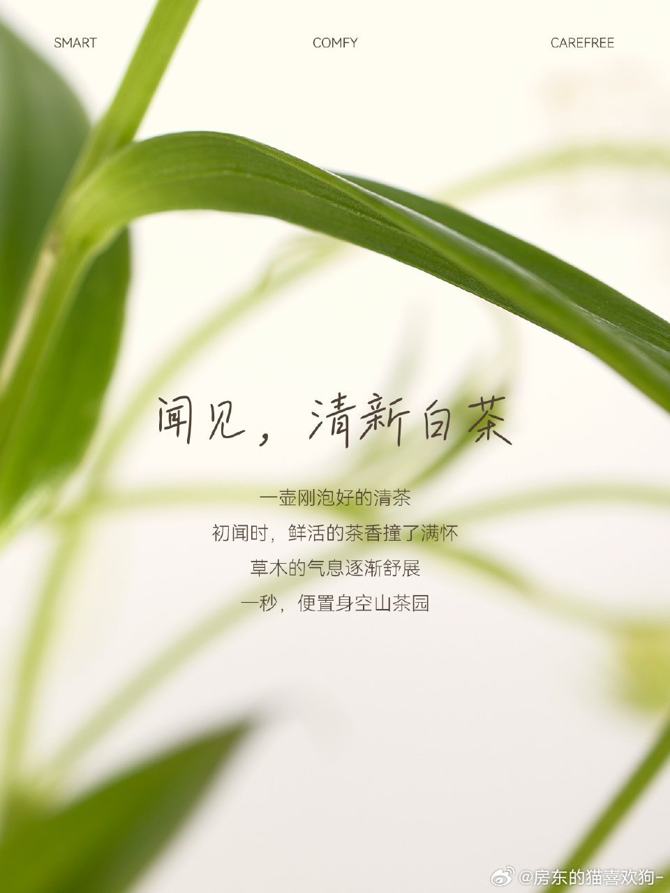 白小姐449999精准一句诗,实时更新解释介绍_黑科技版51.189