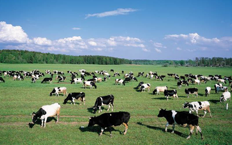 最新农牧业,最新农牧业里的温馨日常