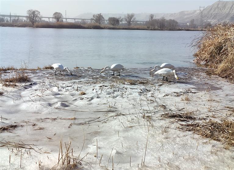 科技新品引领未来,清波引最新——体验前所未有的高科技生活