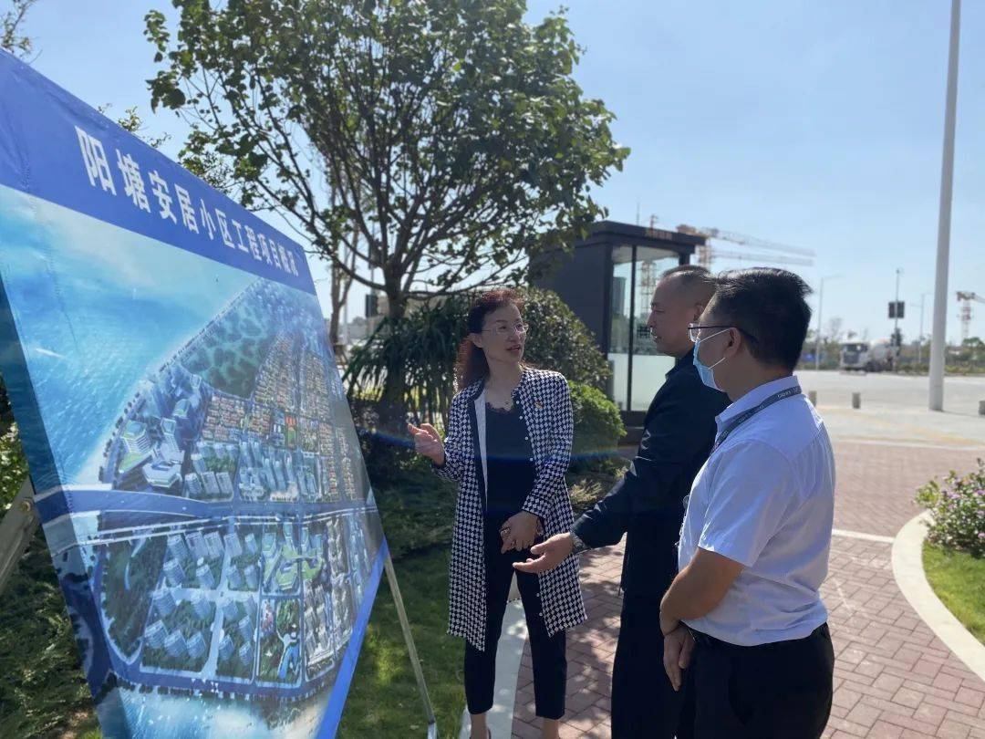 杨尚庞最新,城市小日常的温馨时光记录