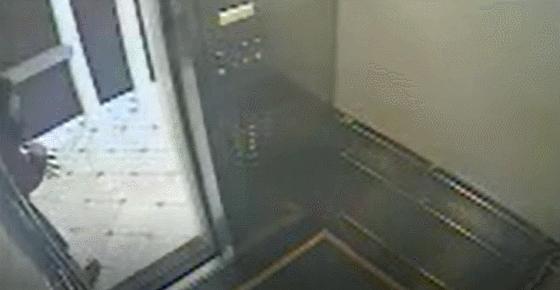 最新天台门,深度探讨背景、重要事件与地位