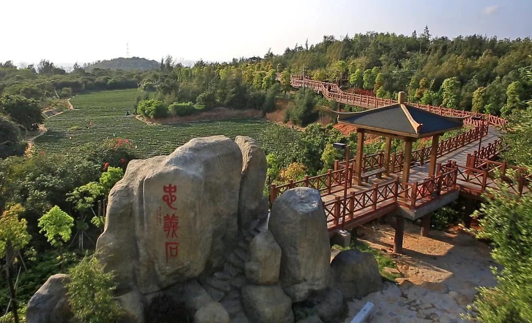 厦门天气实时最新,厦门天气实时最新，掌握第一手气象资讯