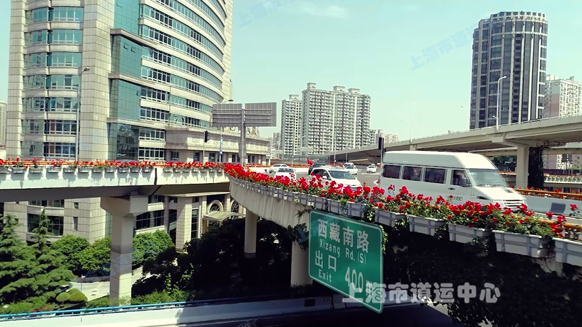 上海高架花,最新自然之旅,寻找内心平静的瞬间