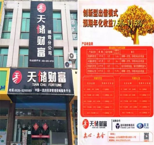 天储财富的最新动态及其在金融领域的影响力与地位探索