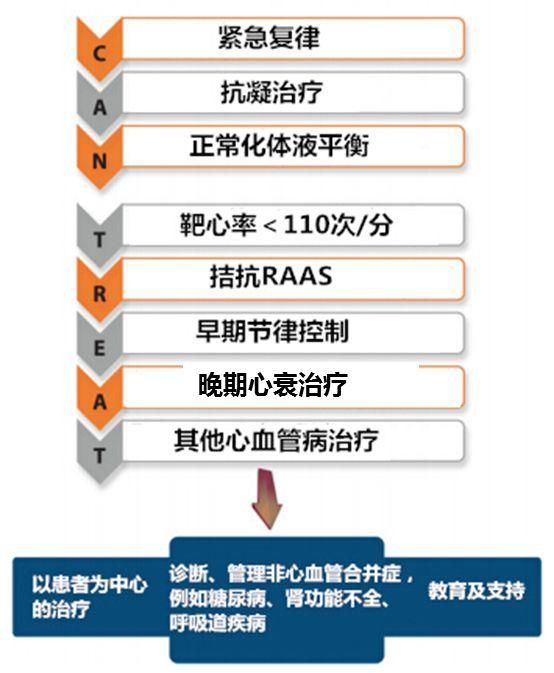 揭秘小巷深处的宝藏，最新版诊疗特色小店探秘之旅
