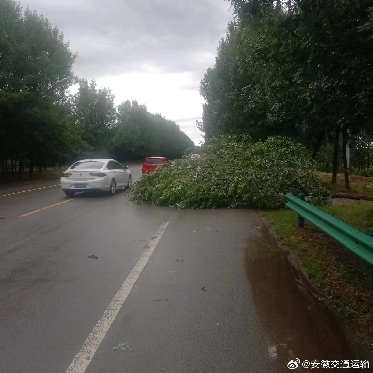 宿州最新路况及自然美景探索之旅