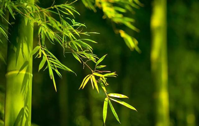 服务案例 第314页