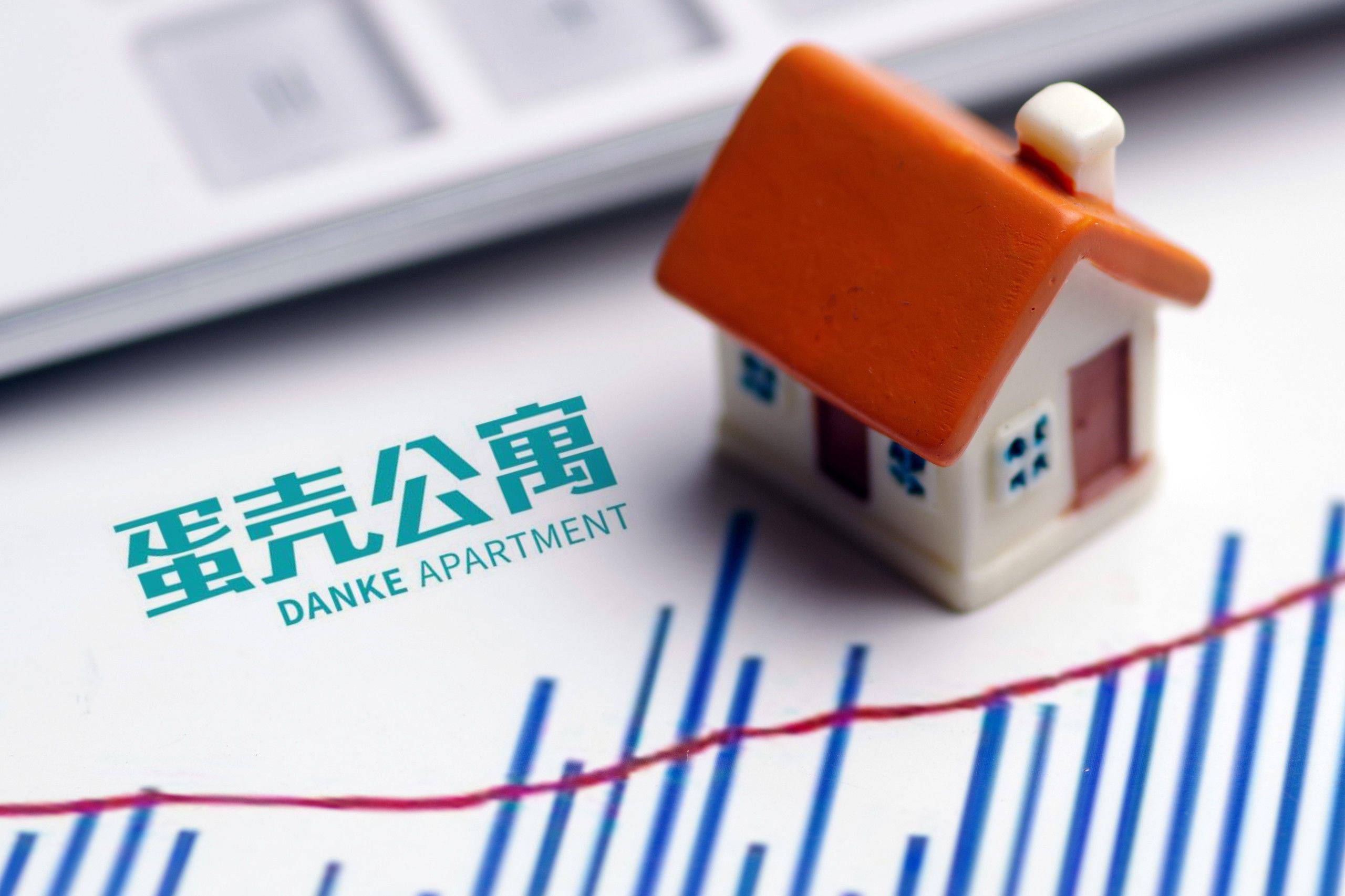 最新蛋壳公寓动态，变化中的学习与自信成就的力量