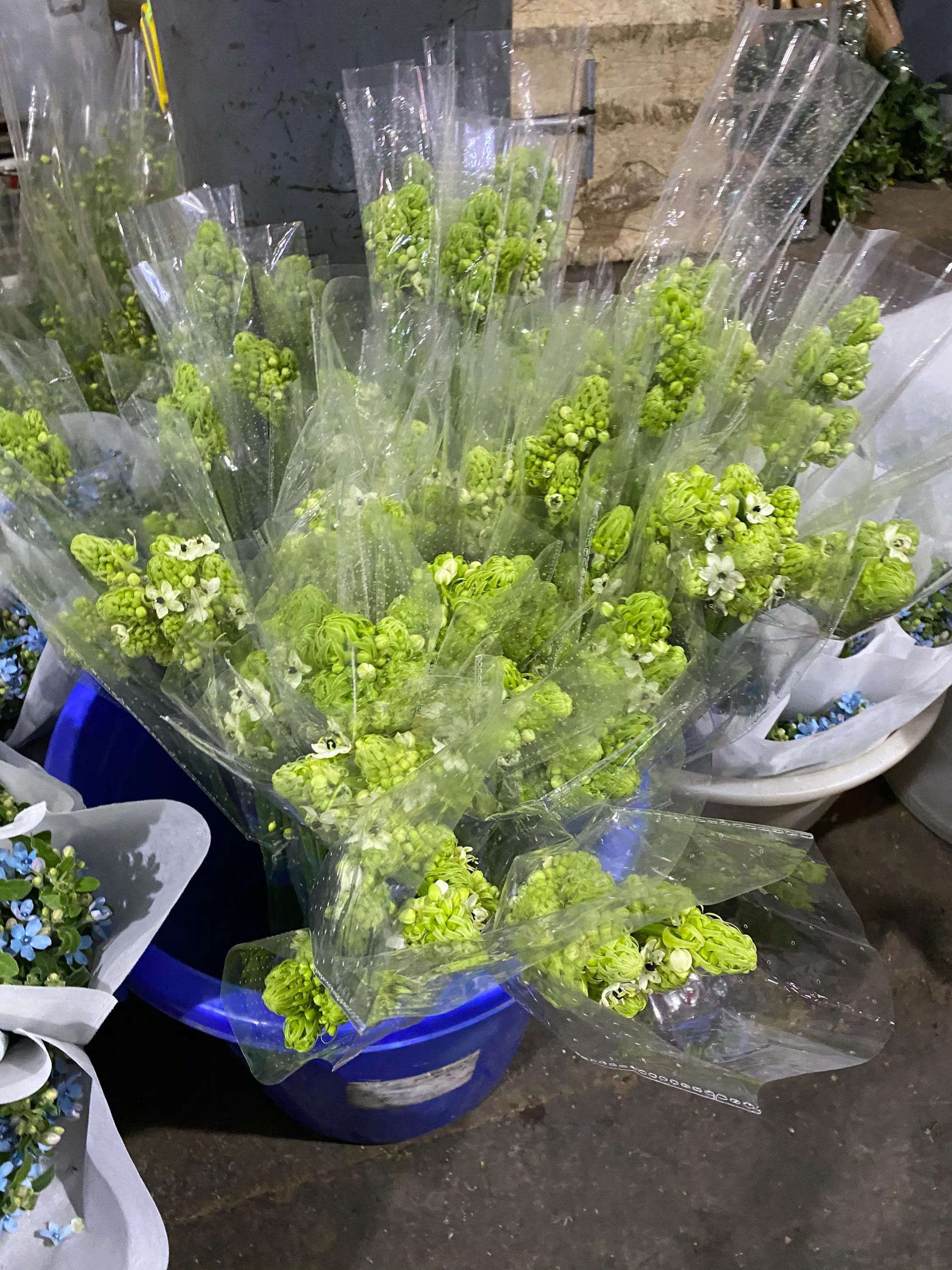 斗南花市最新图片欣赏