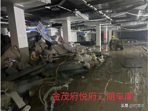 金地华章青岛最新置业指南与技能提升手册，购房攻略与实用手册