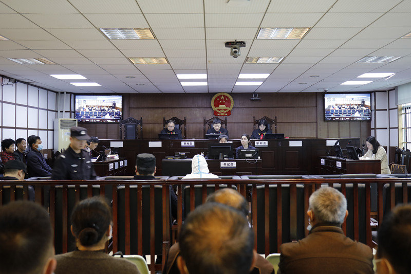 最新审庭现场与小巷独特风味探索之旅揭秘