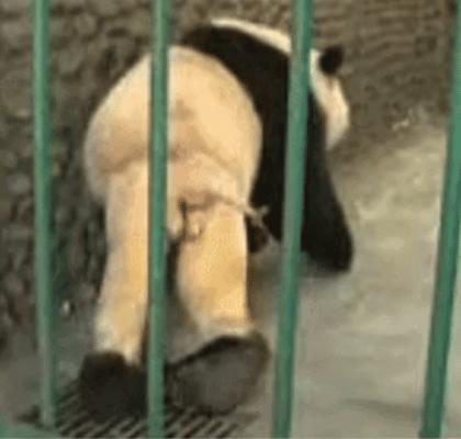 最新脱毛图片及详细步骤指南，打造光滑肌肤的秘诀