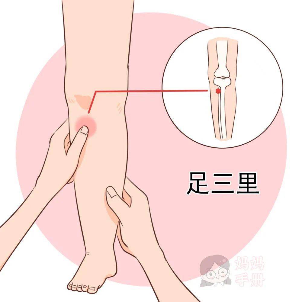 最新挠脚心3，变化中的学习之旅，自信与成就感的源泉
