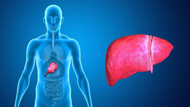 甲肝最新情况,甲肝最新情况,小巷深处的独特风味与健康守护