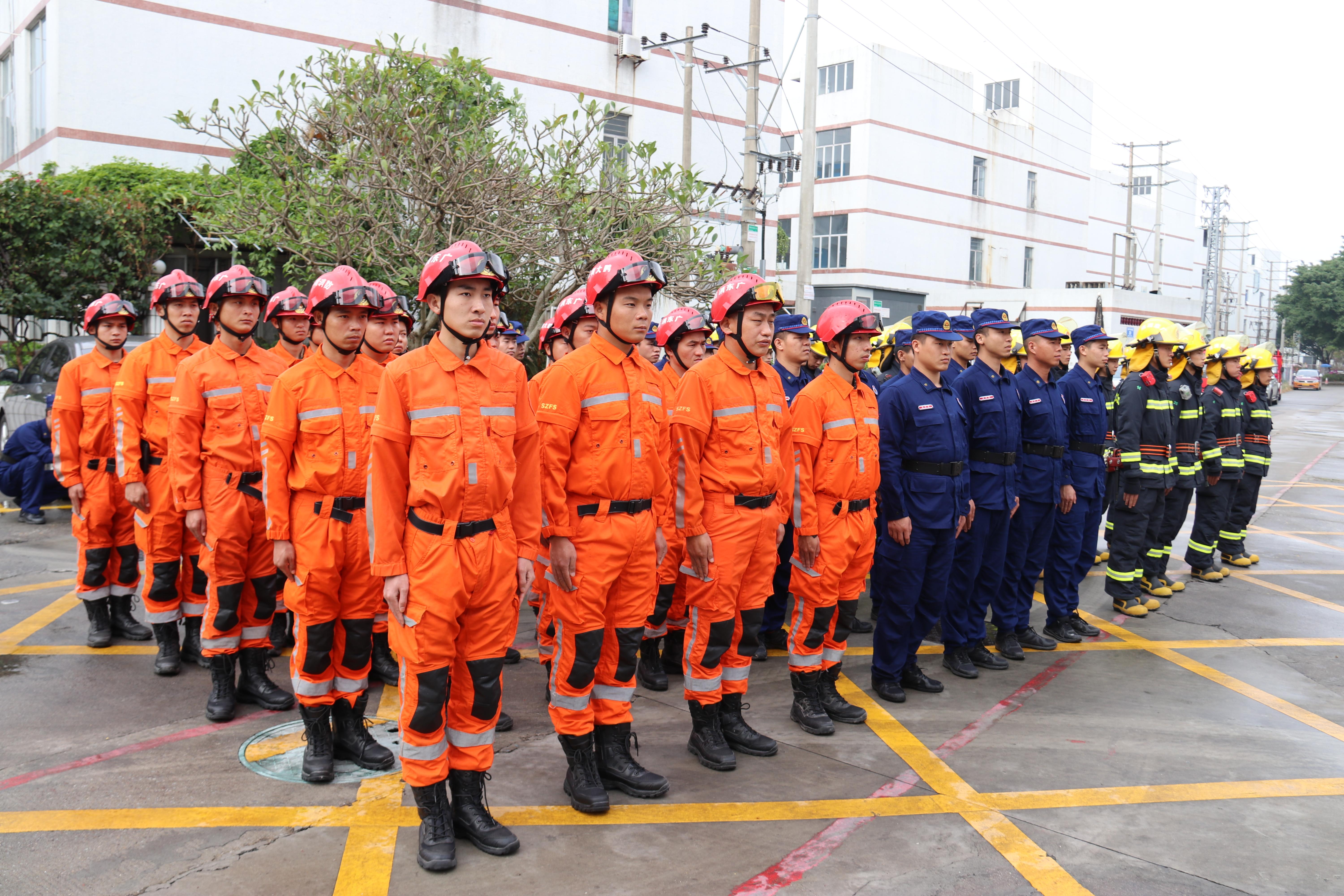 大鹏新区最新发展态势,深度解析其影响与前景展望