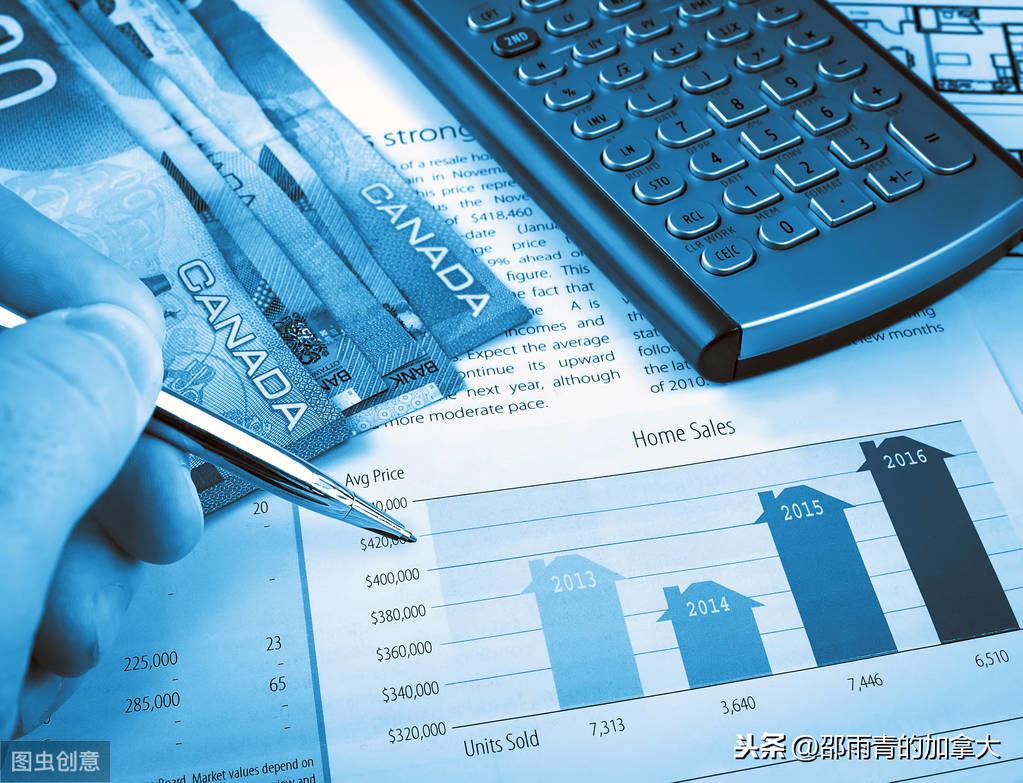 最新交规保险,探索小巷中的隐藏宝藏,领略不一样的保险世界