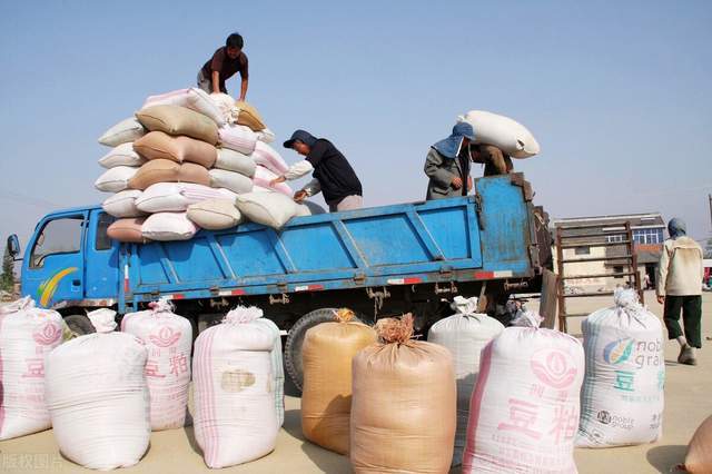 粮食价格最新动态,变化中的力量与学习带来的自信与成就感