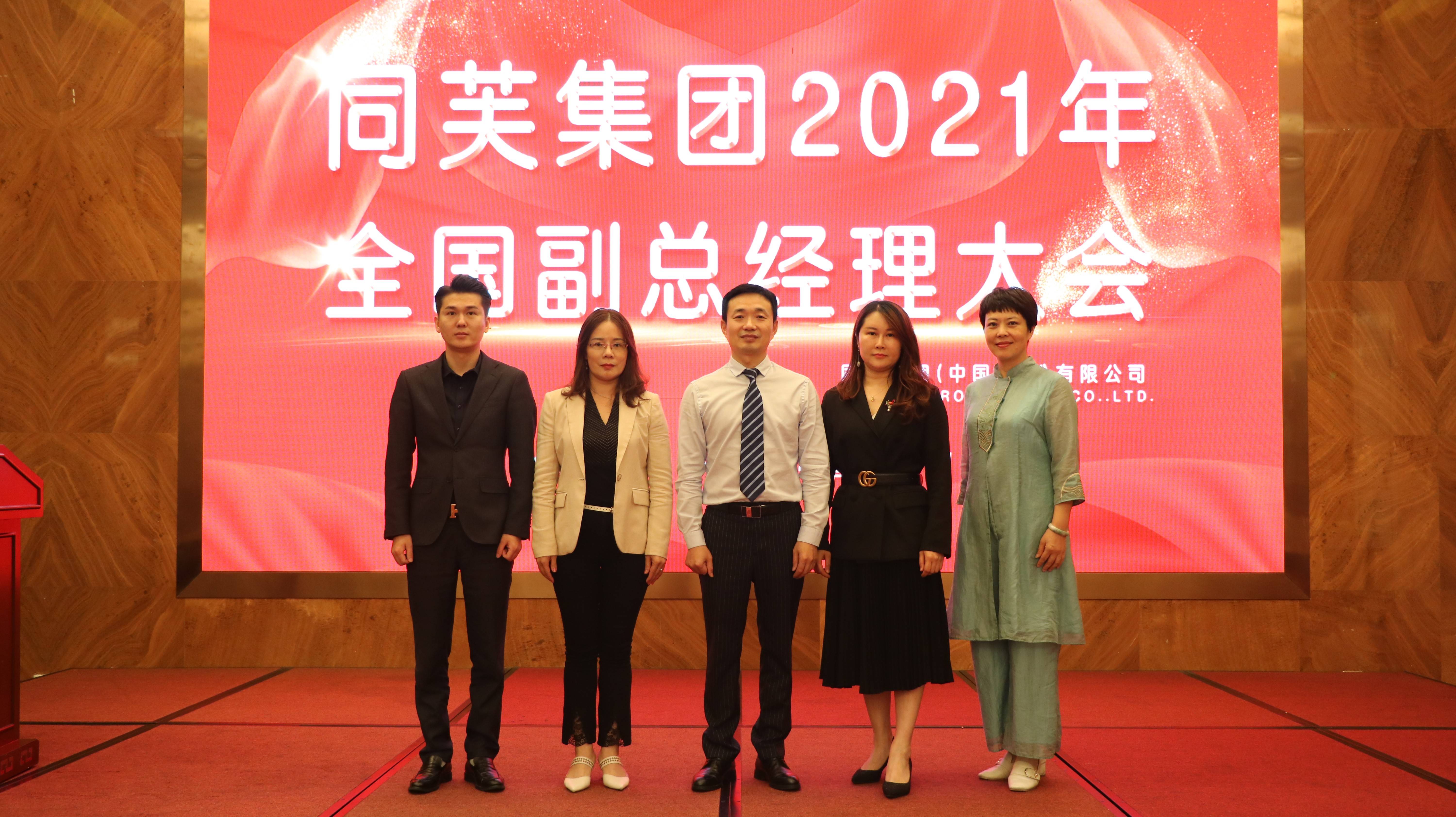 最新大会详解,步骤指南与开幕概览