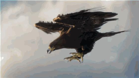 最新视飞视频,友情飞翔与家的温馨时刻