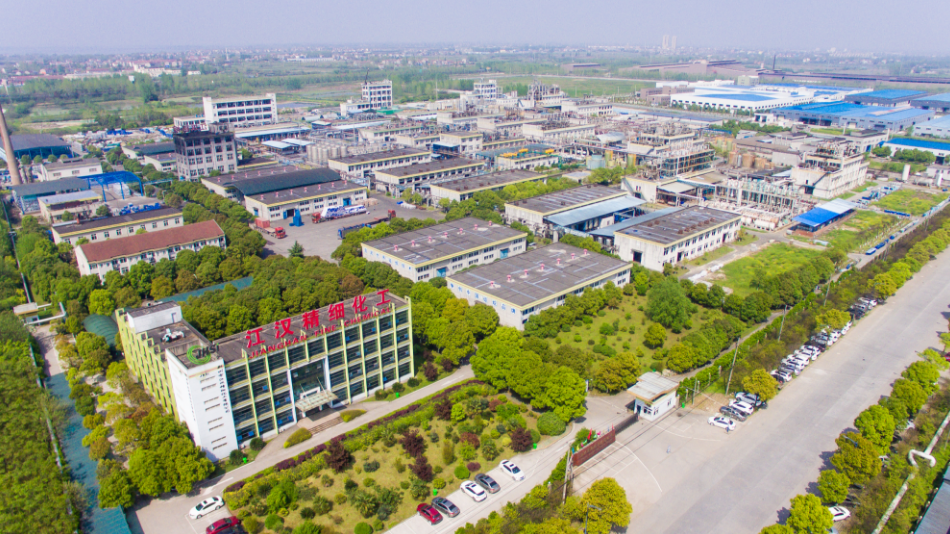 沙市区最新独特风味探秘,小巷深处的风味美食