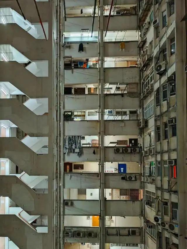 楼凤全国最新动态深度解析,背景、事件与地位探究