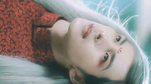 探索越南最新风情与魅力的独特魅力