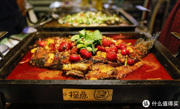 探索海洋的秘密之旅，最新探鱼方法与技巧揭秘