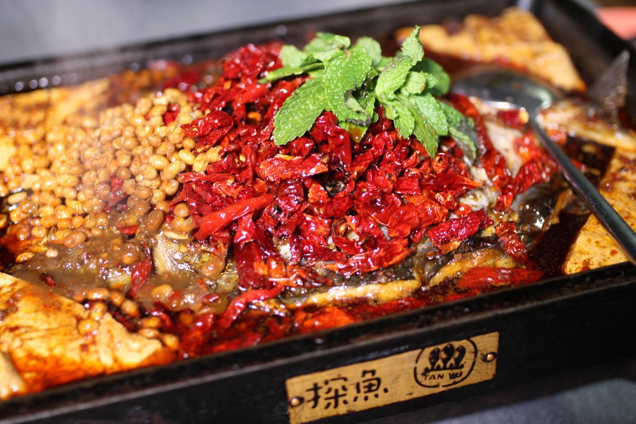 探索海洋的秘密之旅,最新探鱼方法与技巧揭秘