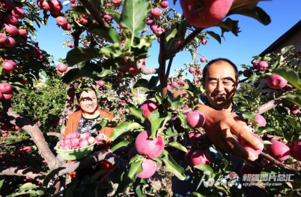 新疆阿勒泰最新疫情动态,变化中的力量与学习带来的自信与成就感
