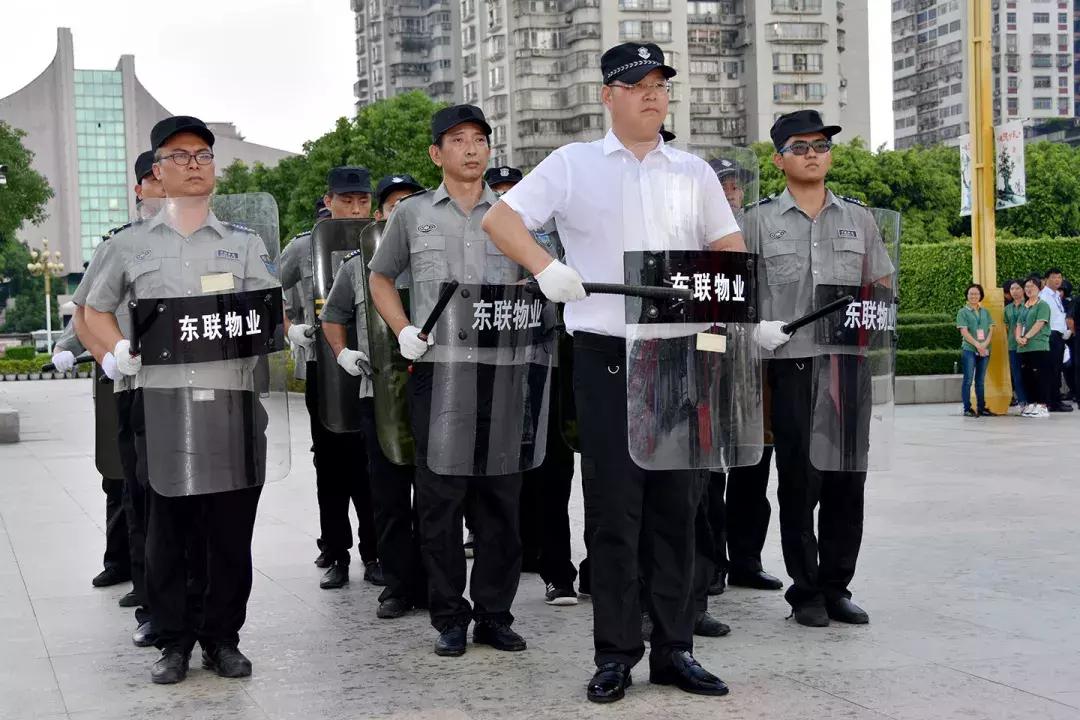 最新数字营销专家行业工作指南，从入门到精通的详细步骤指南