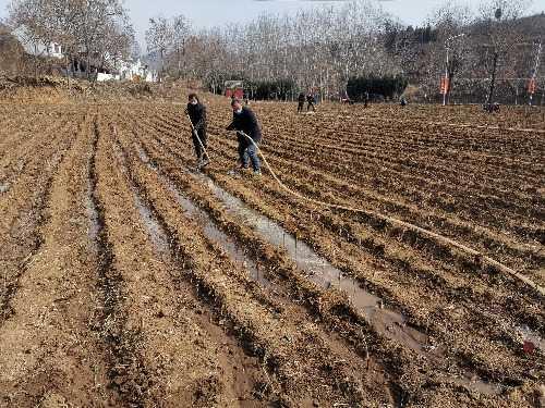 林业发展最新规划,林业发展最新规划，步骤指南