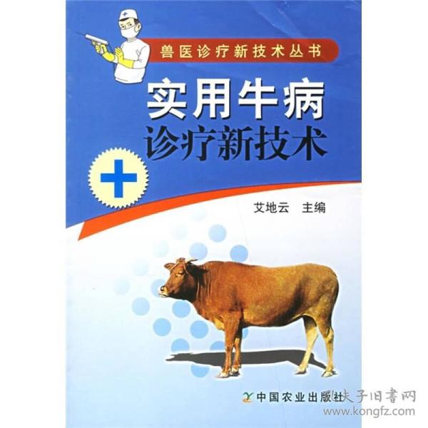 最新牛病揭秘,小巷深处的独特风味探秘