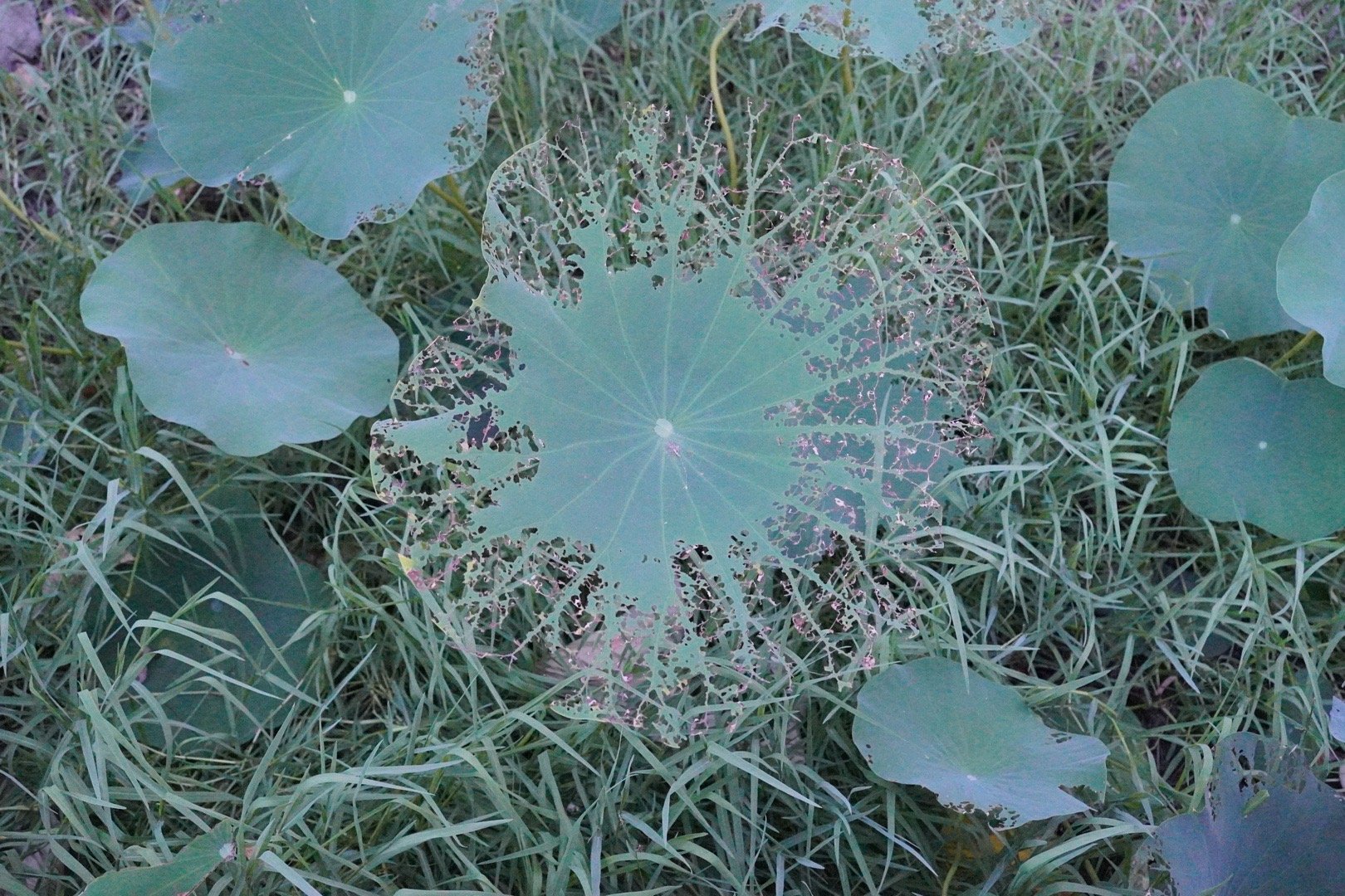 搬家必读 第309页