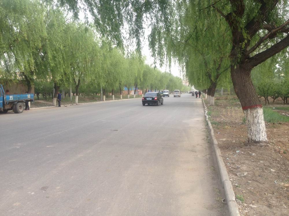 阜城最新贴吧,阜城最新贴吧,时代的脉搏与青年的舞台