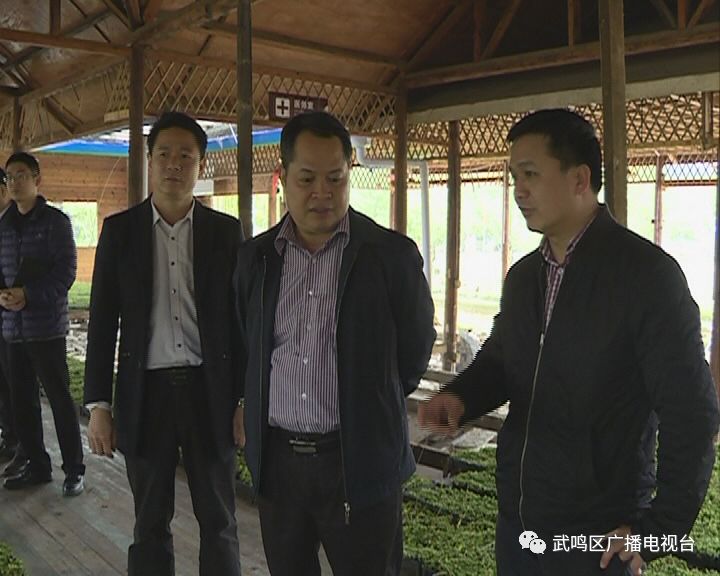 韦敏宏最新观点论述摘要