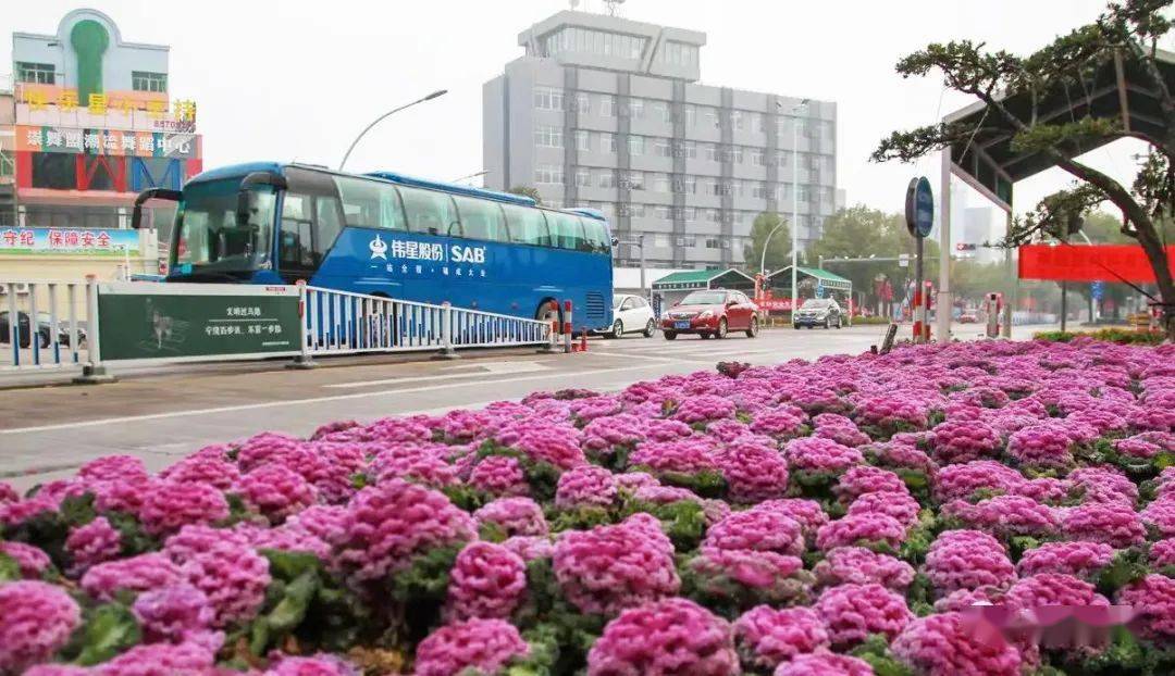 椒江最新事件,椒江最新事件,高科技产品的革新之旅,让生活因科技而精彩绝伦