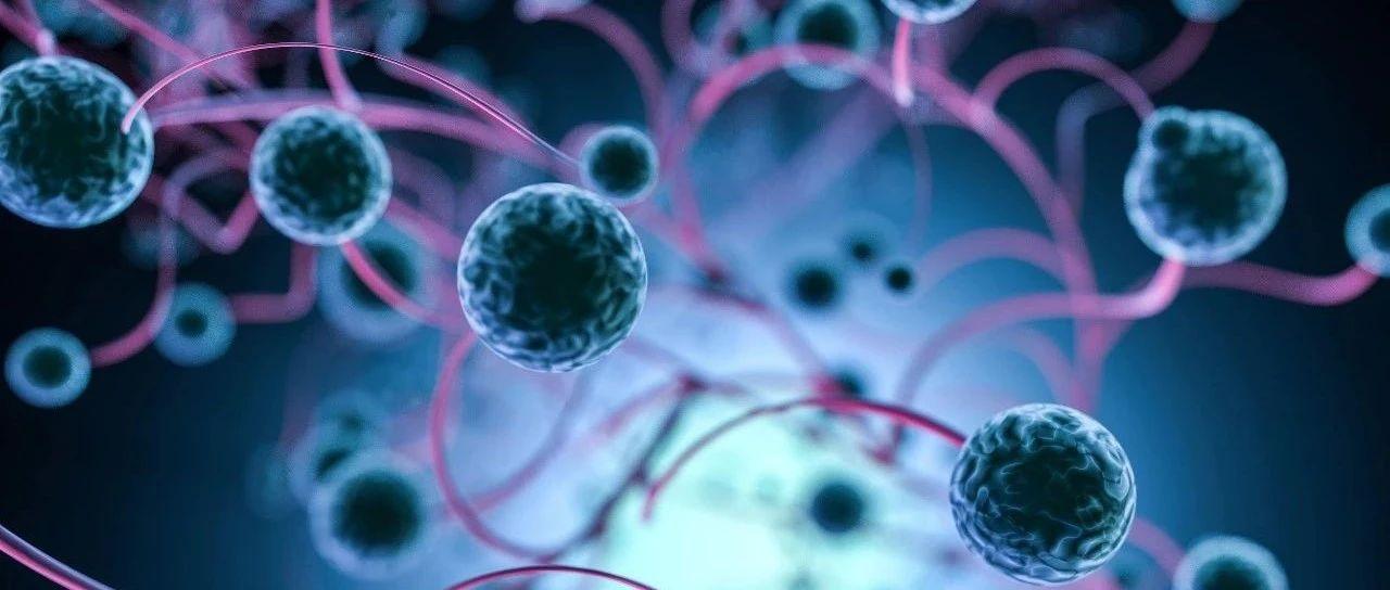 医学科学最新进展,时代之光照亮生命之树的新篇章