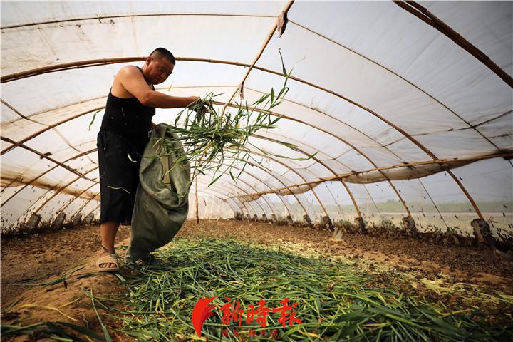 最新禁野令，全面审视与理性思考的重要性