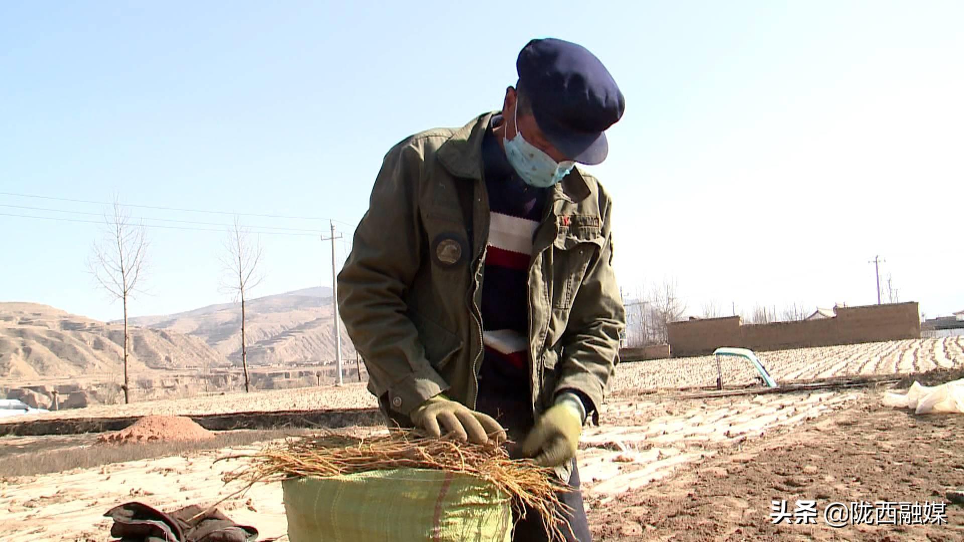 陇西隐秘小巷的病毒守护者,特色小店的神秘面纱与病毒追踪之旅