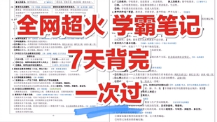 最新粉笔网课,一段温馨有趣的在线学习之旅启程!